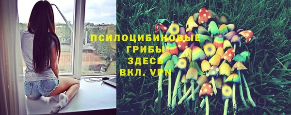 apvp Киренск