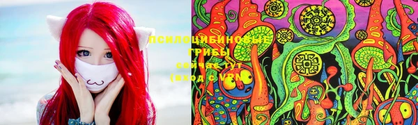 apvp Киренск