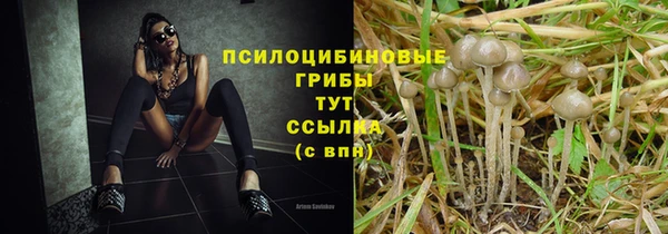 apvp Киренск