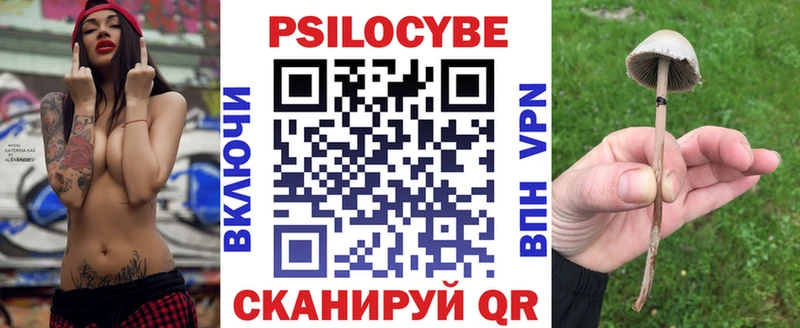 Купить закладки  Ногинск  Галлюциногенные грибы мухоморы 